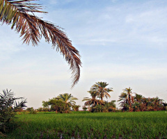 our village view