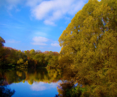 herbst