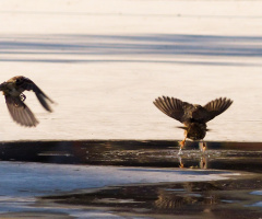 Take Off