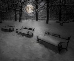  The frozen moon