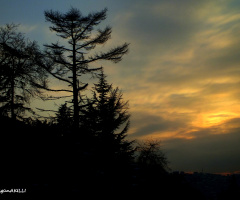 huzur