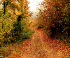 Doğa 2