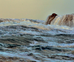 stormy winterday ..