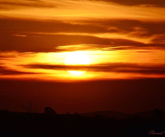 Another sunset II