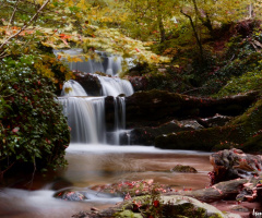 SUUÇTUDAN BAHAR GEÇTİ...MKPAŞA-BURSA