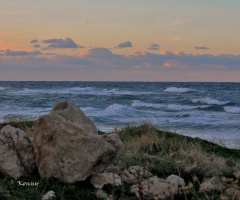 winterday near the sea 