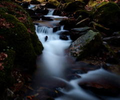 TURFAL DAĞI GÜZELLİKLERİ...MKPAŞA-BURSA