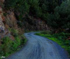 Gizemli yol....