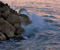 waves 