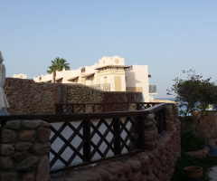 Egypt - Sharm alsheikh