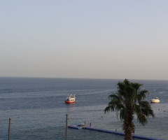 Egypt - Sharm alsheikh