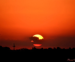 Sunset over the field