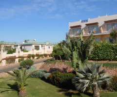 Egypt - Sharm alsheikh