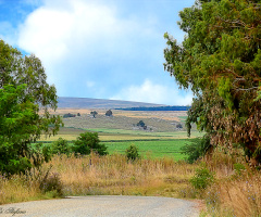 Road to paradise