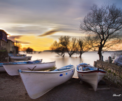 Gölyazı