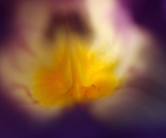 inside secret…