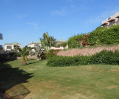 Egypt - Sharm alsheikh