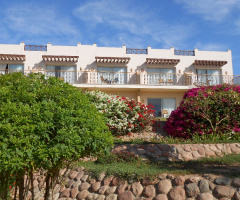 Egypt - Sharm alsheikh