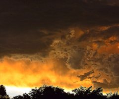 After the storm II