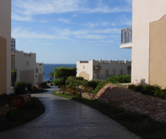 Egypt - Sharm alsheikh