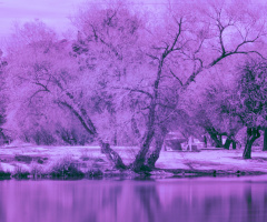 Some UV Photography   3/16