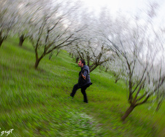 İlk Zoom İn Zoom Out Denemem :)