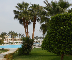 Egypt - Hurghada