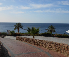 Egypt - Sharm alsheikh
