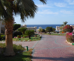 Egypt - Sharm alsheikh