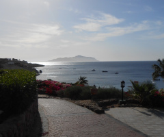 Egypt - Sharm alsheikh