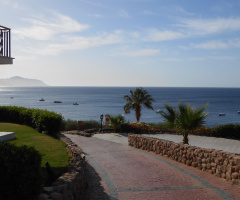 Egypt - Sharm alsheikh