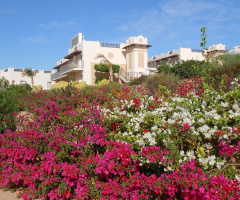 Egypt - Sharm alsheikh