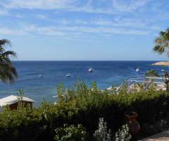 Egypt - Sharm alsheikh