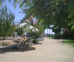 Egypt - Alain alsokhna 