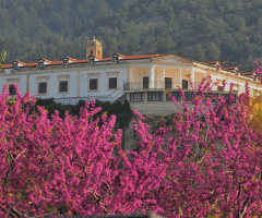 old monastery .. now nursing home