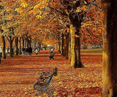 park