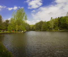 Atatürk Arboretumu