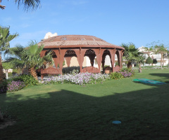 Egypt - Sharm alsheikh