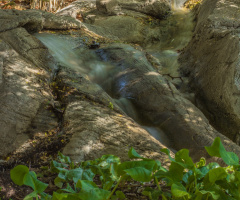 Tohono Chul Brook