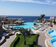 Egypt - Sharm alsheikh