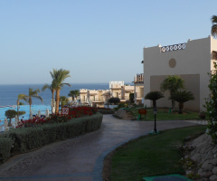 Egypt - Sharm alsheikh