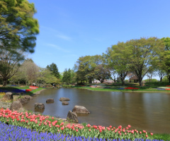 park