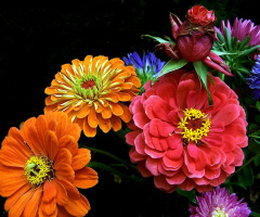 blumenstrauss 