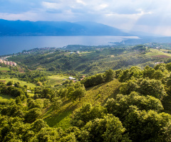 Sapanca