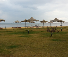 Egypt  - Alzaafarana 