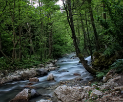 Yuvacık ta bir dere