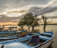 Gölyazı