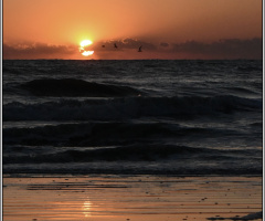 Sunrise Daytona Beach