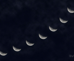 Half moon