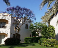 Egypt - Alain alsokhna